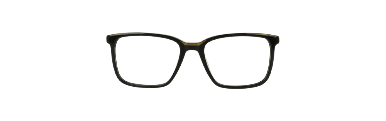 Argyleculture ARWASHBURN Eyeglasses - view 4